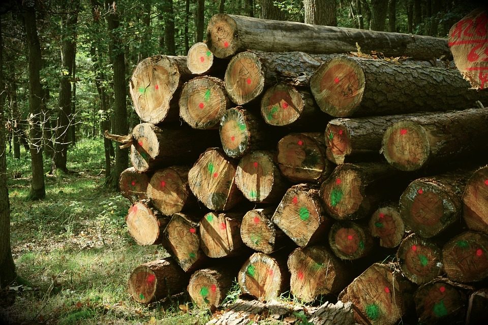 10/2018 – Protokol z otevírání a hodnocení cenových nabídek na prodej dřeva MODŘÍNY 2018